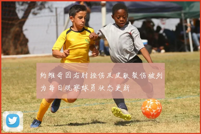 约维奇因右肘挫伤及皮肤裂伤被列为每日观察球员状态更新