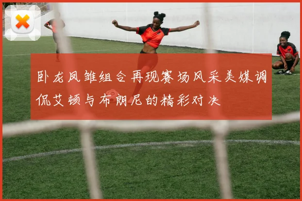 卧龙凤雏组合再现赛场风采美媒调侃艾顿与布朗尼的精彩对决