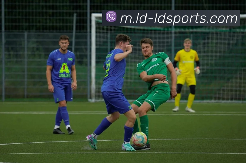 乐动体育服务体系